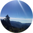 Danielle Martinez Danielle Martinez